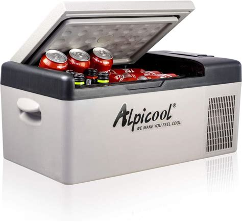 best electric cooler box|best 12v cooler freezer uk.